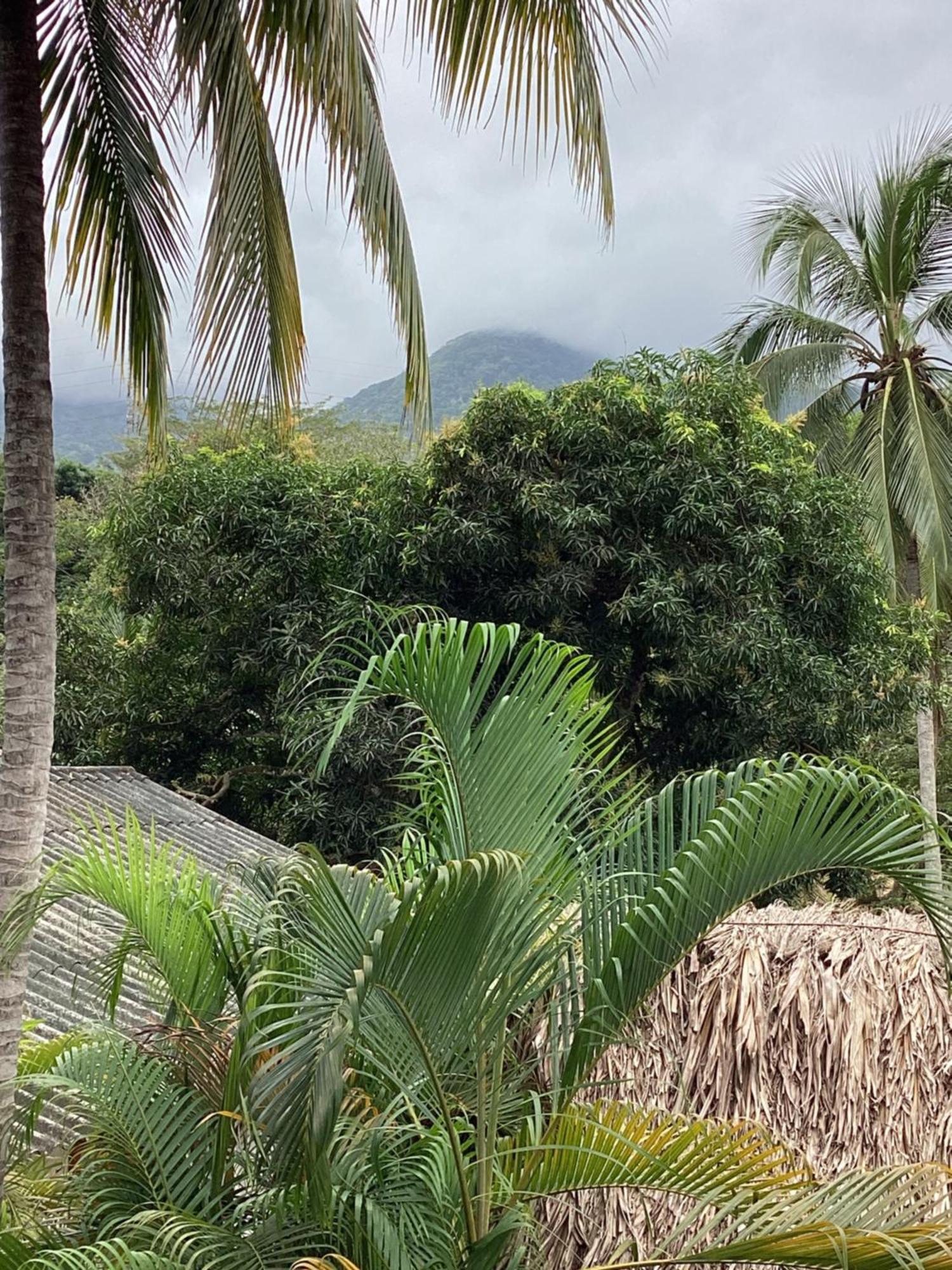 Hostal Antawara Tayrona Ель-Зайно Екстер'єр фото